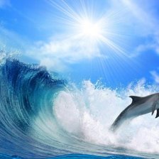 Схема вышивки «Дельфин в море»