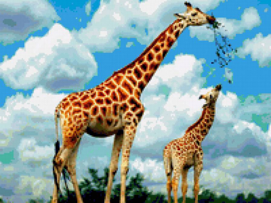 Жирафы - жираф, жирафчик - предпросмотр