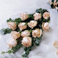 Схема вышивки «Розы»