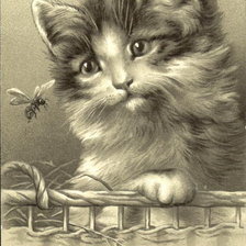 Схема вышивки «Insect And Cat»