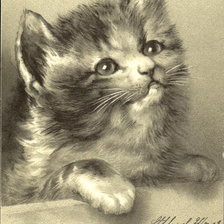 Схема вышивки «Cat and Butterfly»