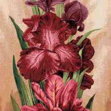 Схема вышивки «Ирисы»