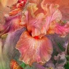 Схема вышивки «Ирисы 3»