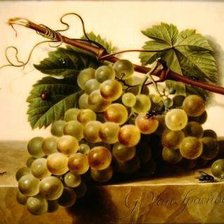 Схема вышивки «Gerard van Spaendonck»