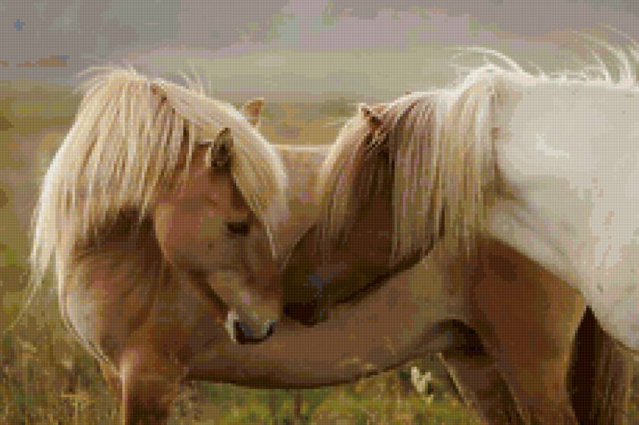 пони - предпросмотр