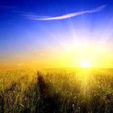 Схема вышивки «рассвет»