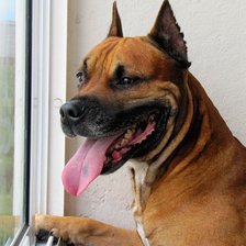 Схема вышивки «Гранд»