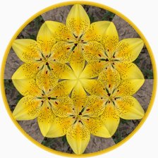 Схема вышивки «лилия»