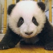 Схема вышивки «Панда»