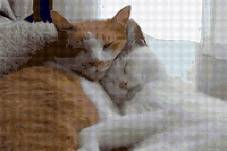 lyubov - zhivotnie - предпросмотр