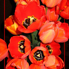 Схема вышивки «Passion»