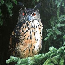 Схема вышивки «№143715»