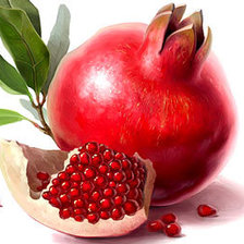 Схема вышивки «гранат»