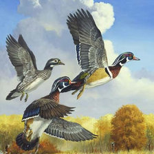 Схема вышивки «Серия,.Птицы,,»