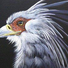 Схема вышивки «№143807»