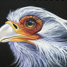 Схема вышивки «№143808»