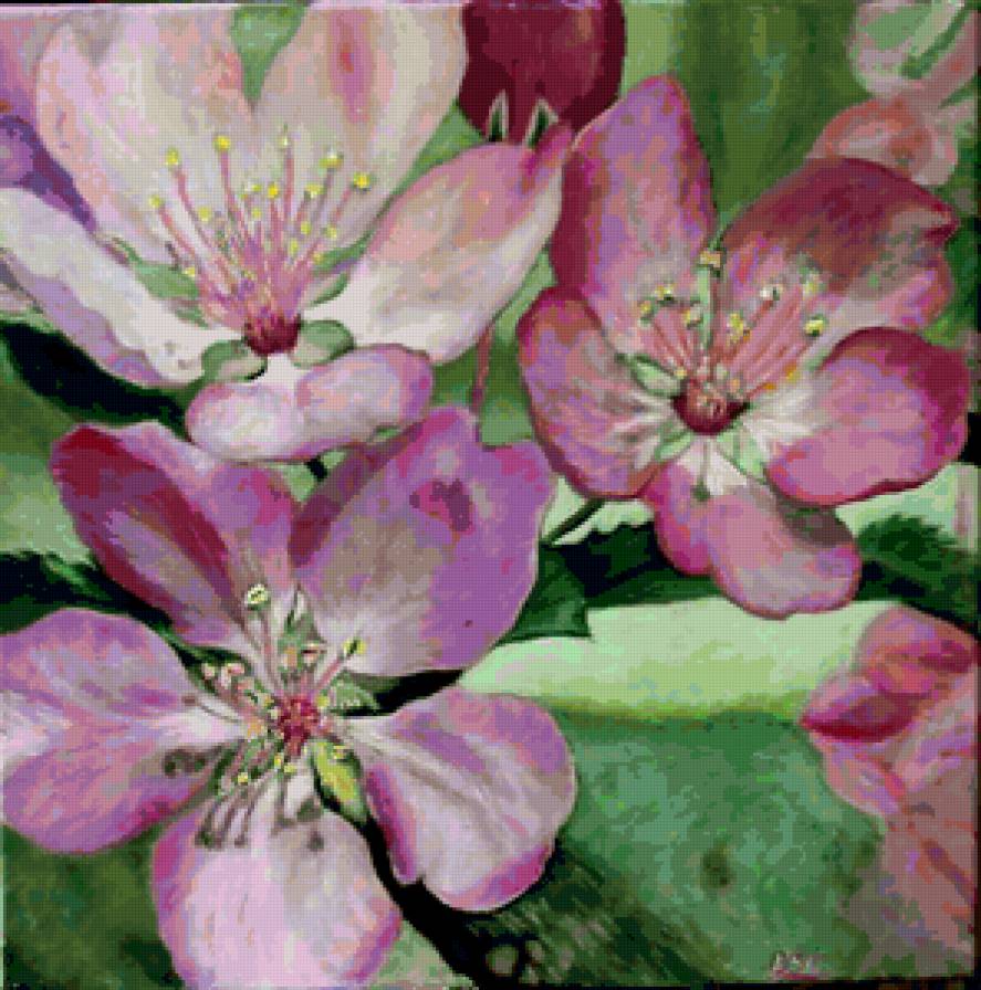 flowers - предпросмотр