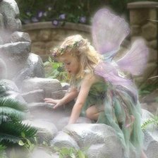 fairy