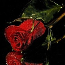 Схема вышивки «№143867»