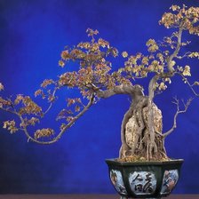 Схема вышивки «миниландшафт»