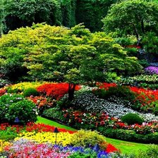 Схема вышивки «Красивый пейзаж»