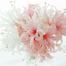 Схема вышивки «Букет»