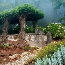 Схема вышивки «Укромный уголок»