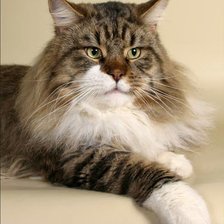 Схема вышивки «Мейн кун»