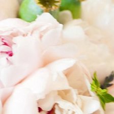 Схема вышивки «закладка для книг Пионы2»