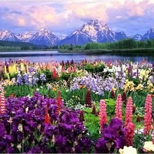 Схема вышивки «Цветочная поляна»