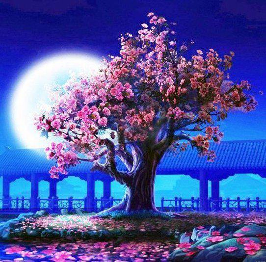 Сакура - япония, сакура - оригинал