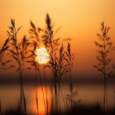 Схема вышивки «Осень»