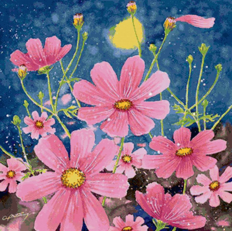 космея - предпросмотр