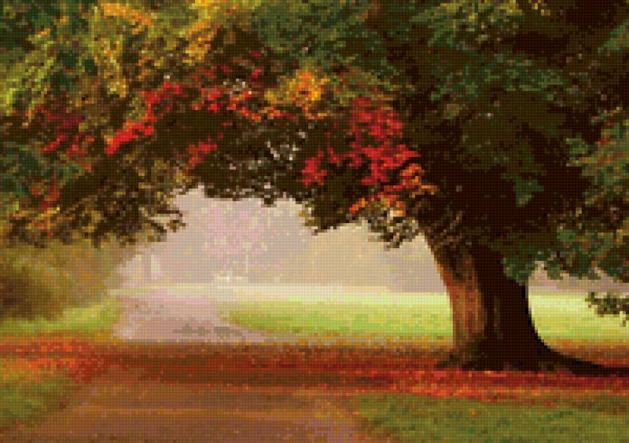 Осень - природа, красота, пейзаж, осень - предпросмотр