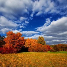 Схема вышивки «Осень»