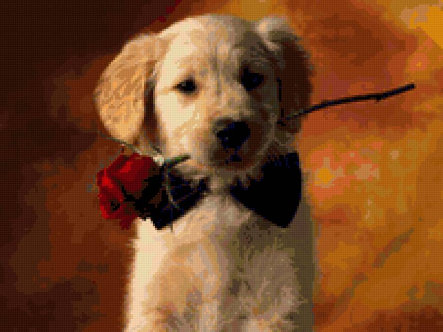 Щенок с цветком - щенок, цветок, собачка - предпросмотр