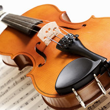 Схема вышивки «скрипка»