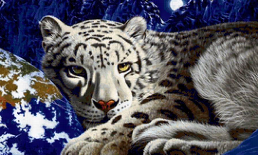 барс - снежный барс, животные - предпросмотр