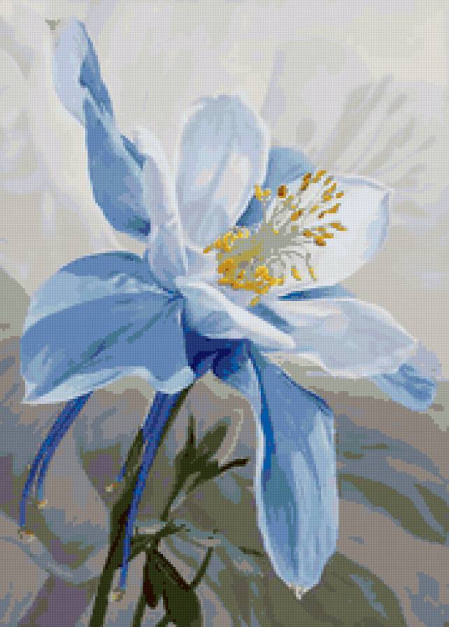 №144403 - цветы - предпросмотр