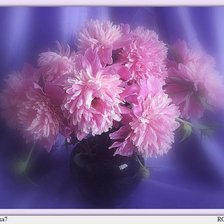 Схема вышивки «Пионы»