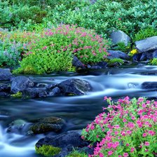 Схема вышивки «Речка»