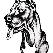 Схема вышивки «дог»