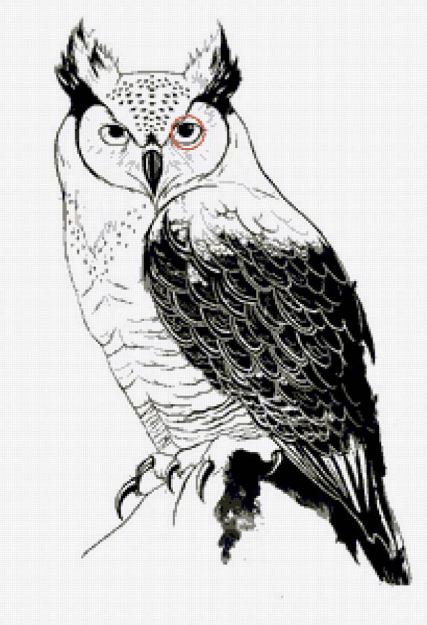 №145052 - предпросмотр