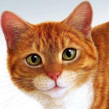 Схема вышивки «котик»