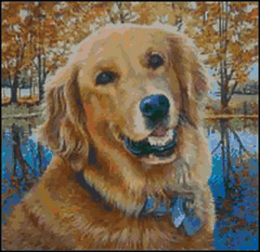 Собачка - собаки - предпросмотр