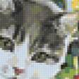 Предпросмотр схемы вышивки «Кошечка» (№145202)