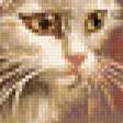 Предпросмотр схемы вышивки «Котята» (№145215)