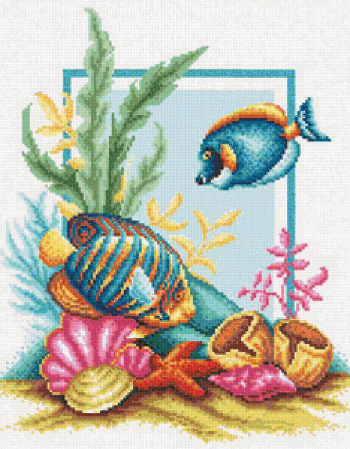 №145291 - ракушки, рыбы, море - предпросмотр