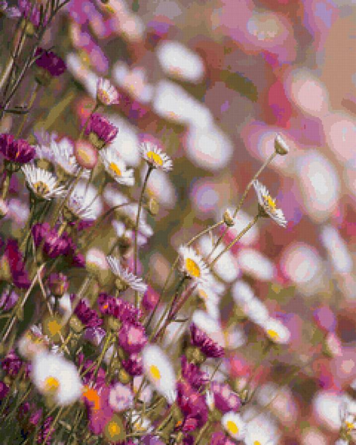 flowers - предпросмотр