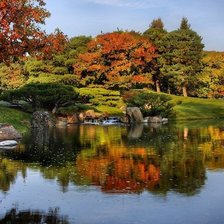 Схема вышивки «Лес»